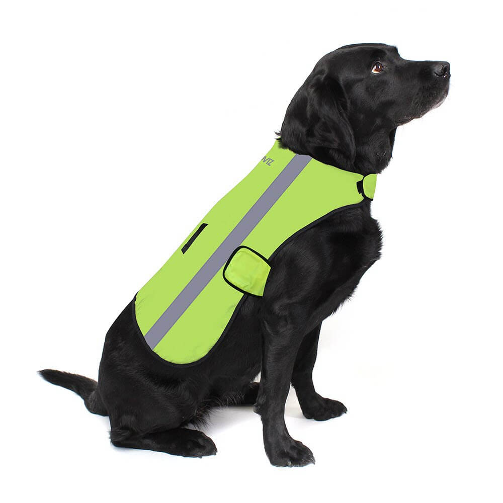 Proviz Classic Hi Visibility Waterproof windproof reflective dog jacket