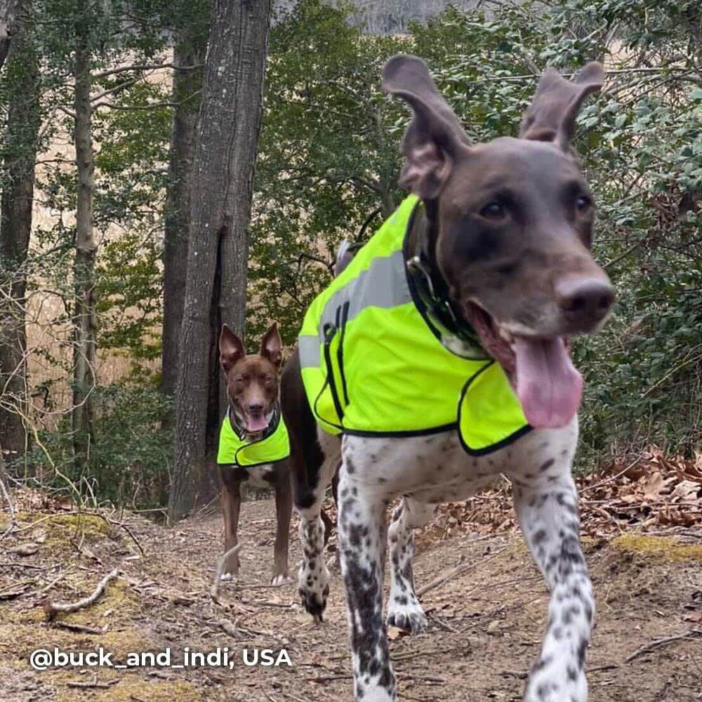 Proviz Classic Hi Visibility Waterproof windproof reflective dog jacket