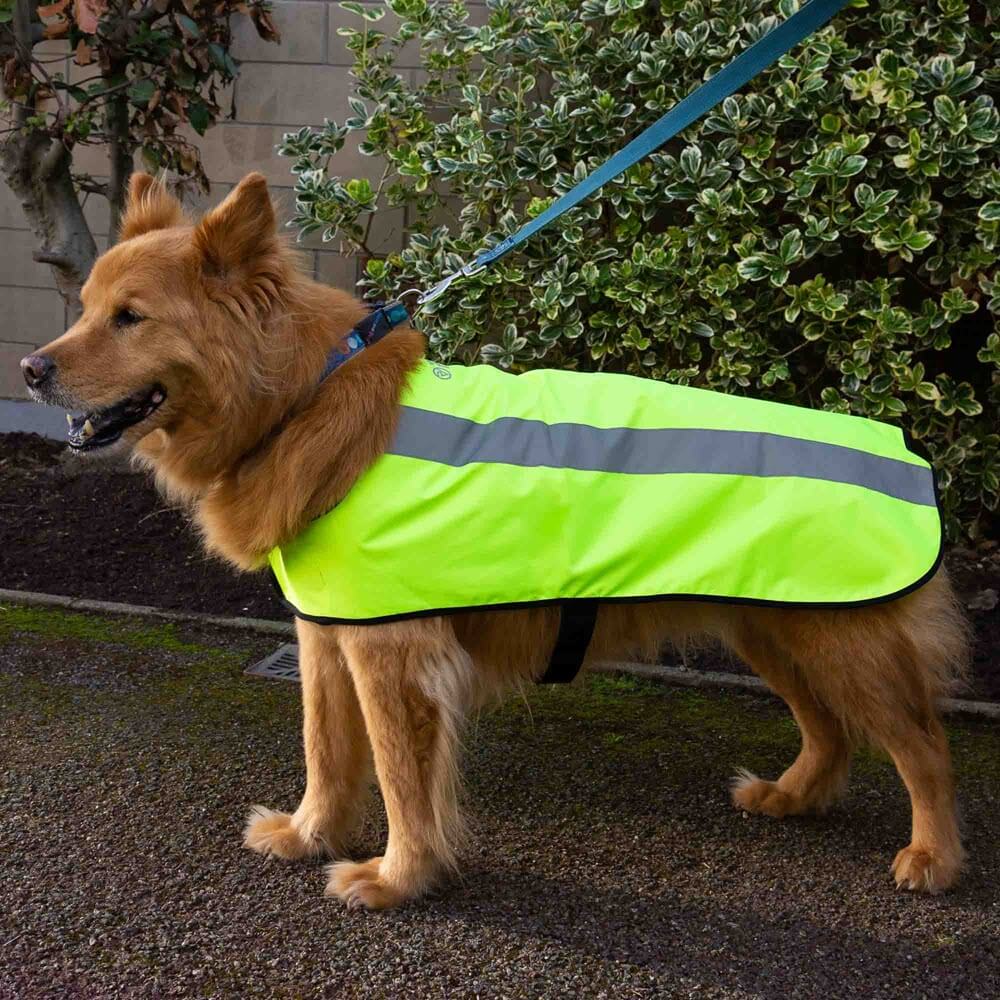 Proviz Classic Hi Visibility Waterproof windproof reflective dog jacket