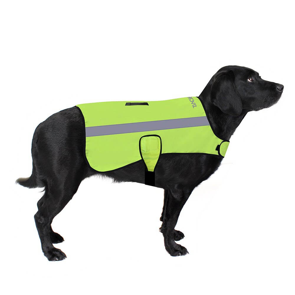 Proviz Classic Hi Visibility Waterproof windproof reflective dog jacket