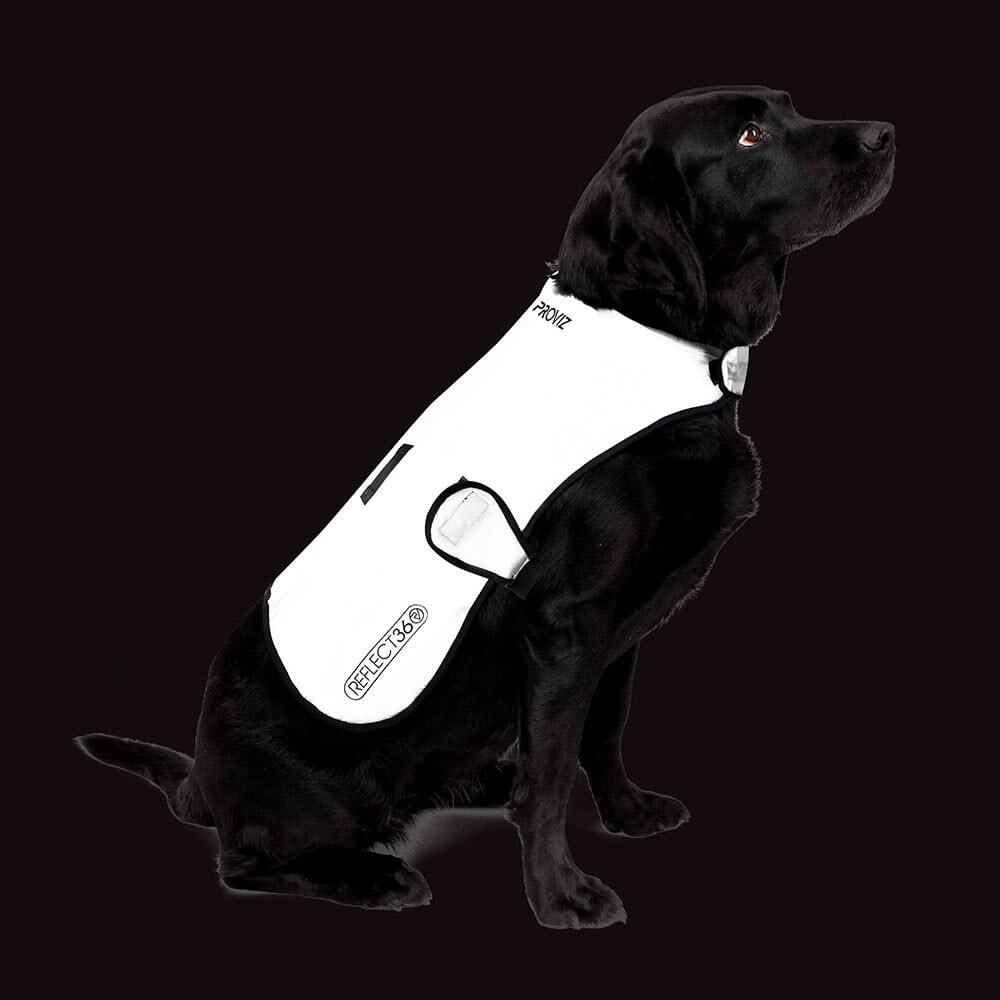 Proviz REFLECT360 waterproof and reflective dog jacket fully reflective with harness hole