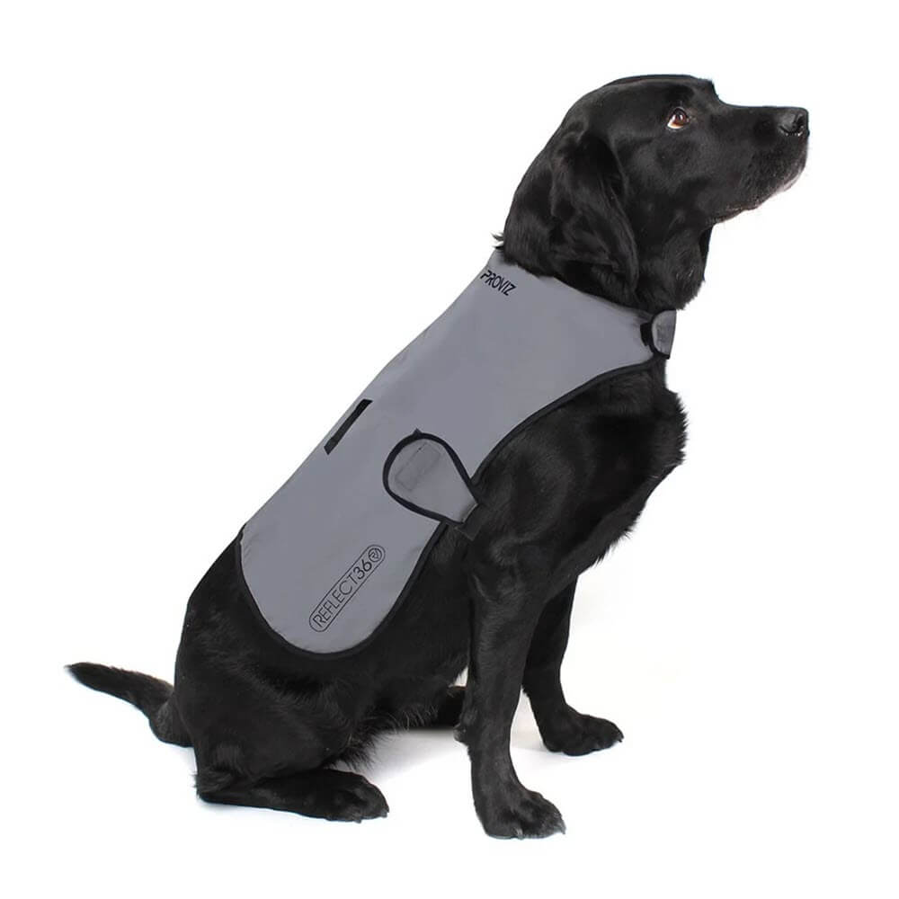 Proviz REFLECT360 waterproof and reflective dog jacket fully reflective with harness hole