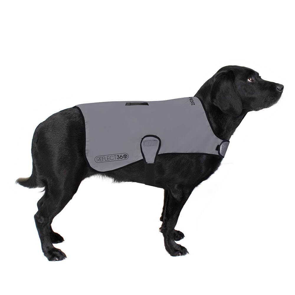 Proviz REFLECT360 waterproof and reflective dog jacket fully reflective with harness hole