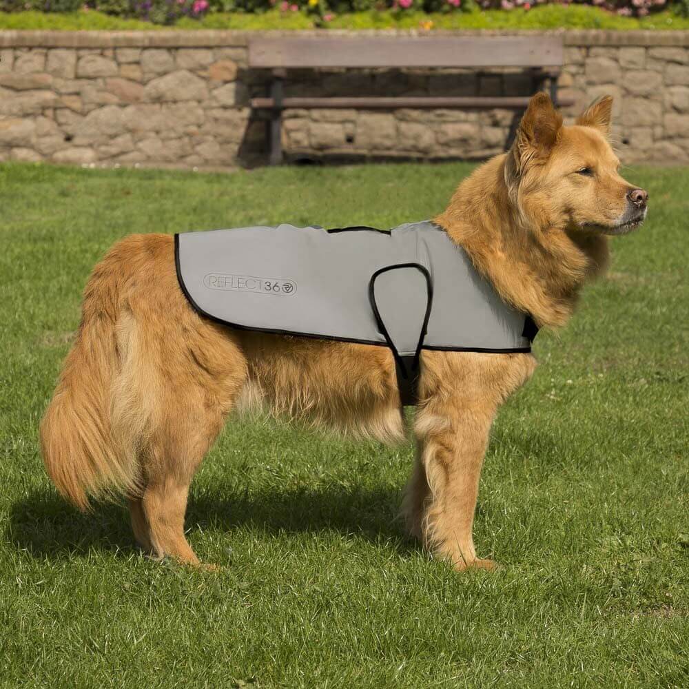 Proviz REFLECT360 waterproof and reflective dog jacket fully reflective with harness hole