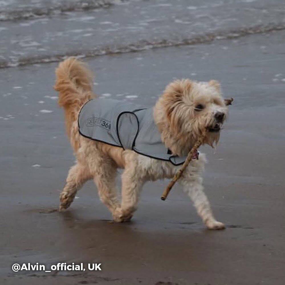 Proviz REFLECT360 waterproof and reflective dog jacket fully reflective with harness hole