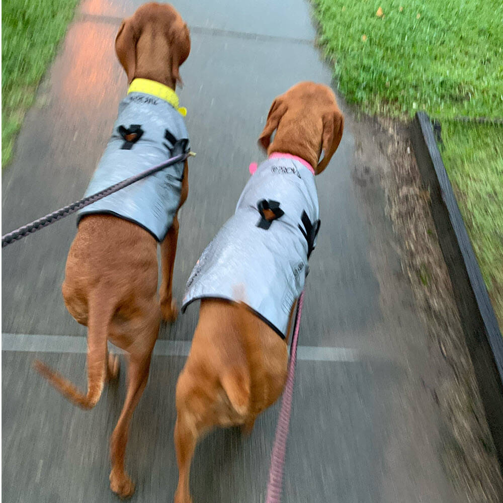 Proviz REFLECT360 waterproof and reflective dog jacket fully reflective with harness hole