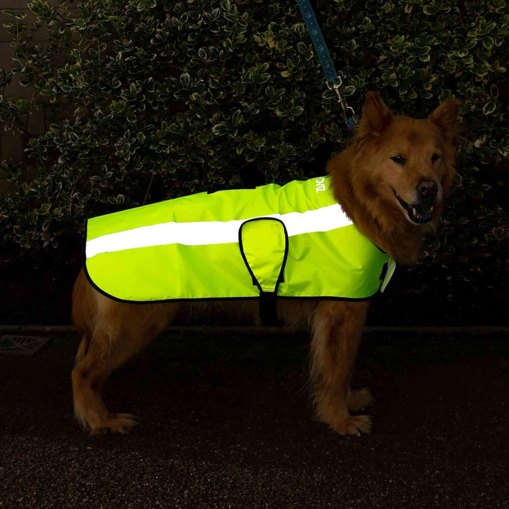 Proviz Classic Hi Visibility Waterproof windproof reflective dog jacket