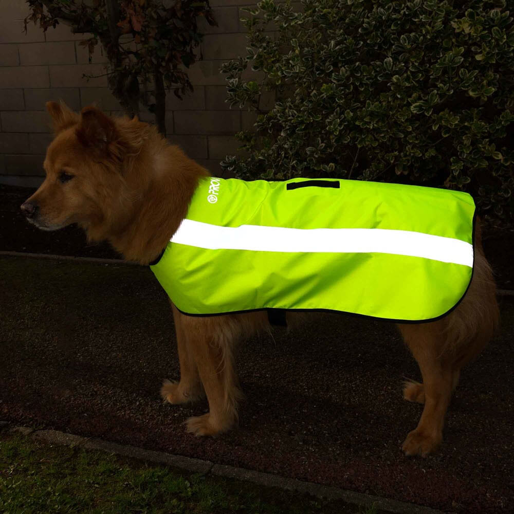 Proviz Classic Hi Visibility Waterproof windproof reflective dog jacket