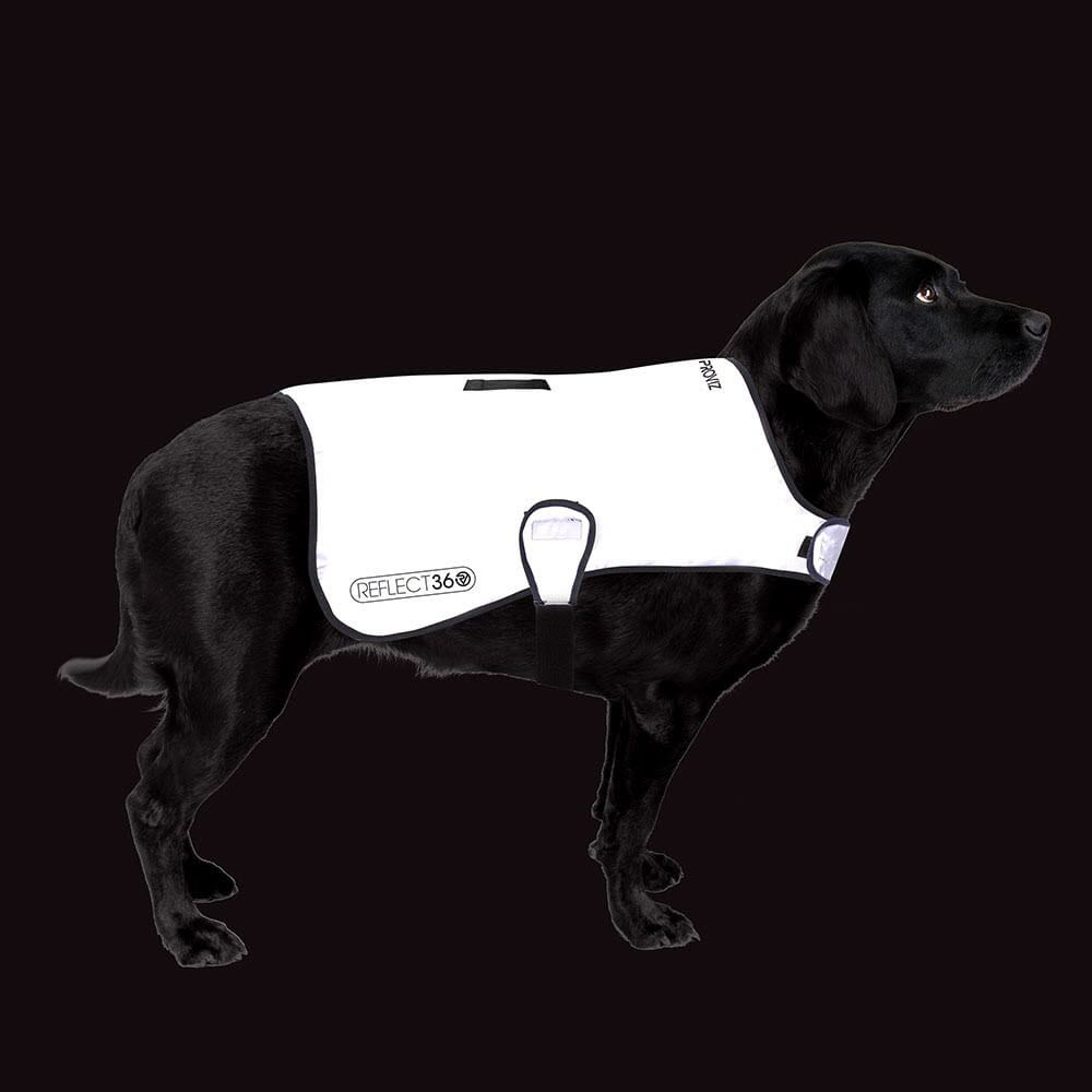 Proviz REFLECT360 waterproof and reflective dog jacket fully reflective with harness hole